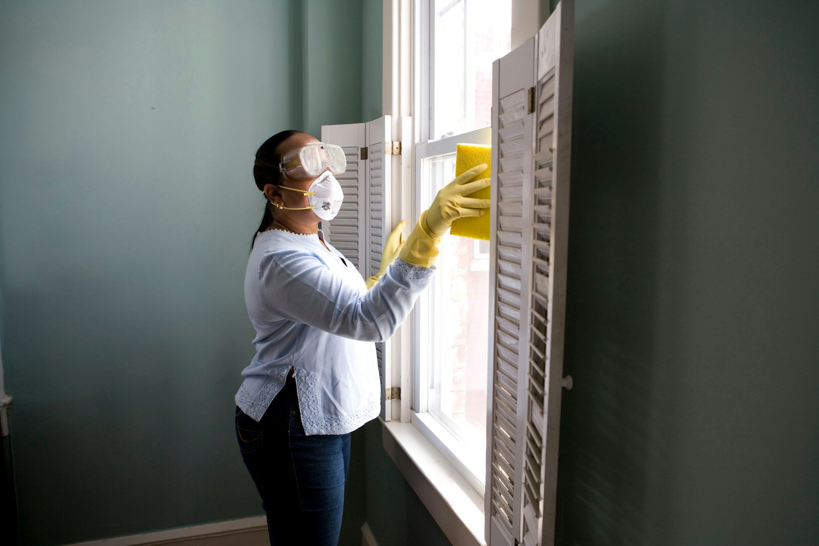 Mold Remediation service in Levittown, NY